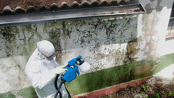 Trusted Commercial Mold Remediation service in Clarklake, MI - Cheap Mold Removal